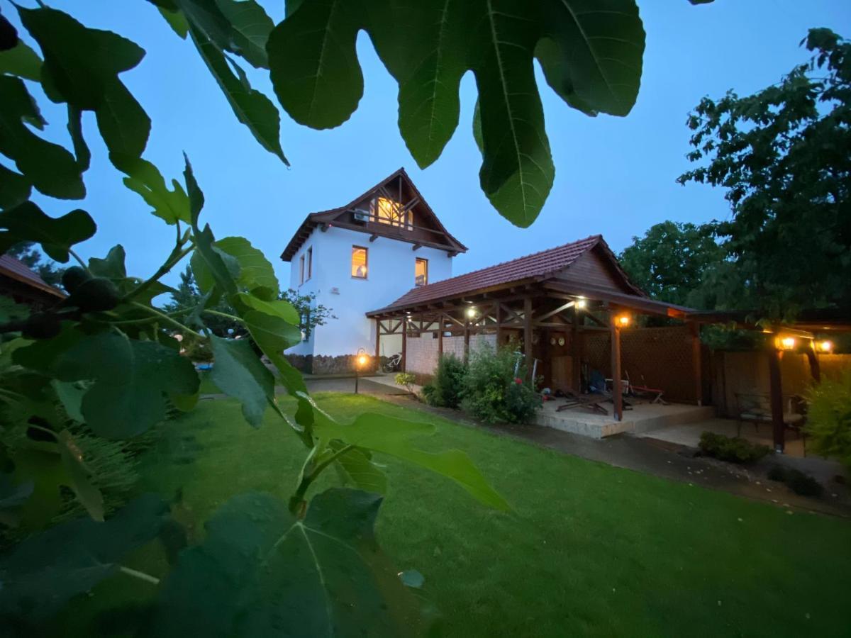 Amazing Cottage Home Cetariu Exterior foto