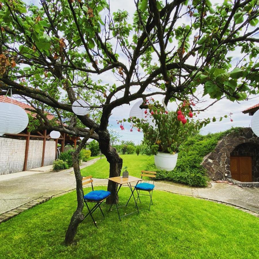 Amazing Cottage Home Cetariu Exterior foto